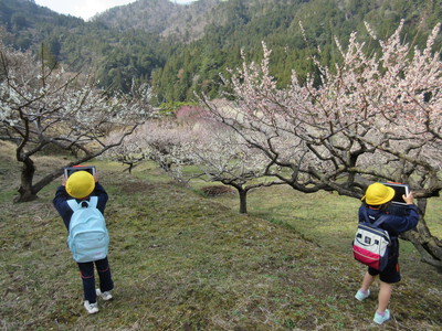 梅花まつり見学