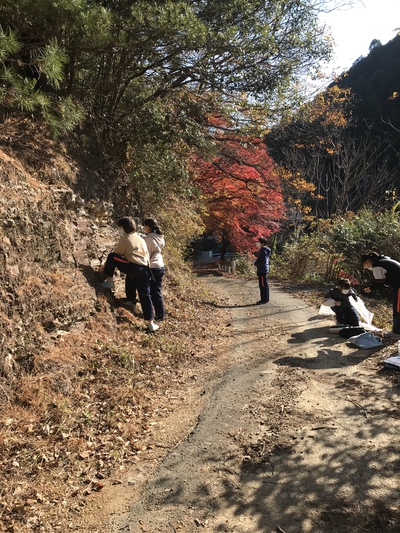 不思議なしま模様