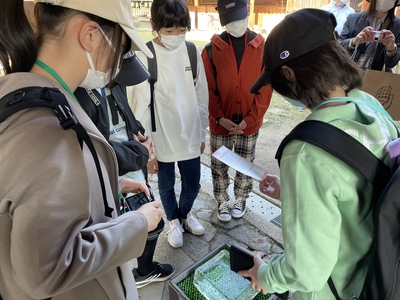 奈良公園