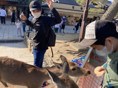 奈良公園