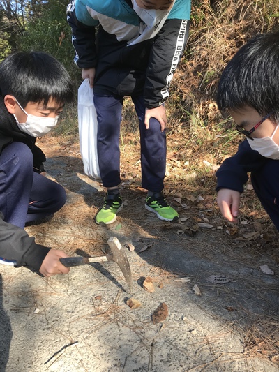 不思議なしま模様