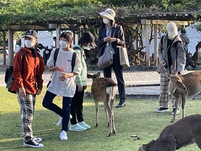 奈良公園