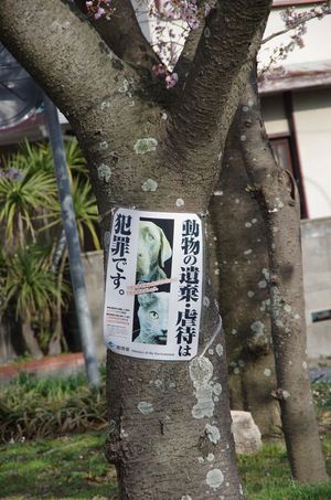 動物を捨ててはいけません