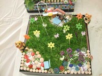 芝育