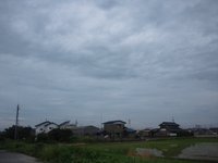 たいふう