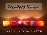 2/11(水) 出店者さん紹介//Yoga Terior