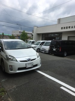 植木市