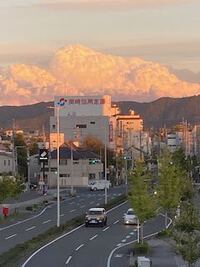 ドタバタした営業になります