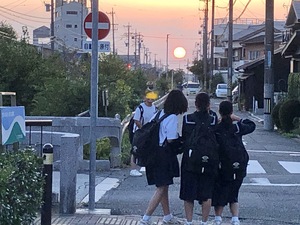 夕陽が綺麗で