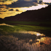 田園風景