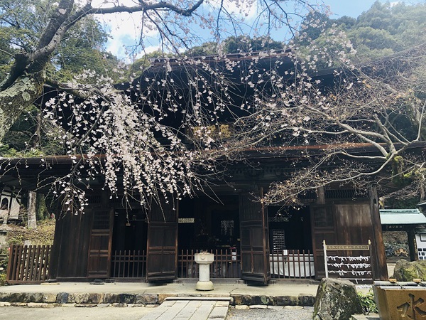 定光寺　　さん　　を　　参拝　　☆