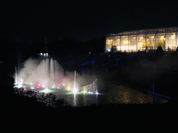 はままつフラワーパーク　で　闇夜に　浮かぶ　桜っ　　☆