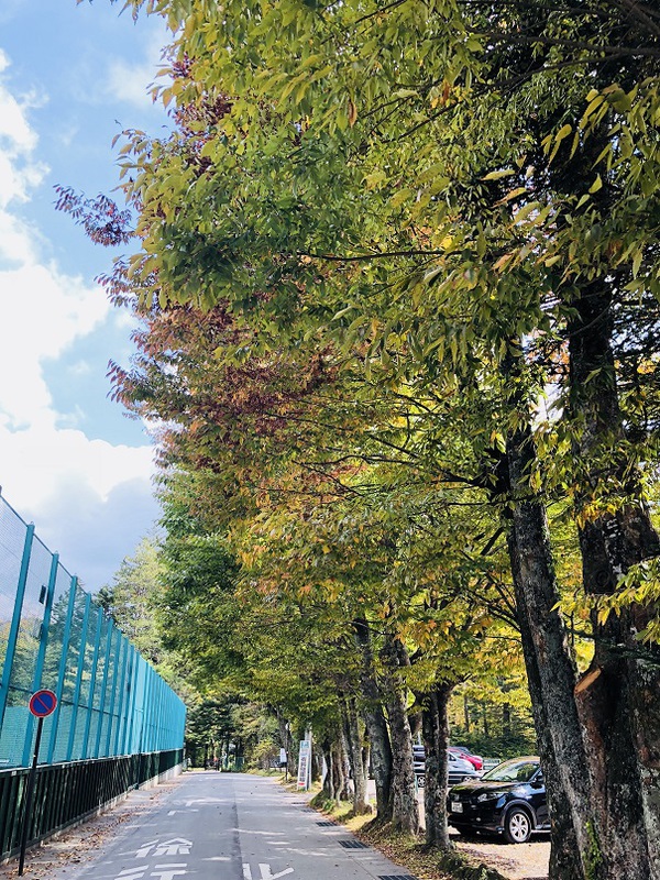 旧軽井沢銀座　　は　　空いていた　　・・・・・