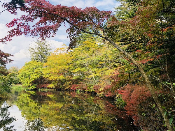 雲場池　　の　　紅葉は　　終わっています　　☆