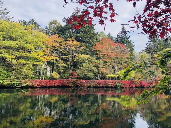 雲場池　　の　　紅葉は　　終わっています　　☆