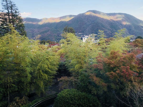 箱根美術館　　へ　　行ってきました～　　☆