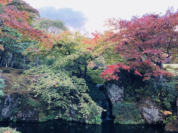 箱根美術館　　へ　　行ってきました～　　☆