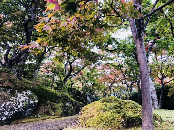 箱根美術館　　へ　　行ってきました～　　☆