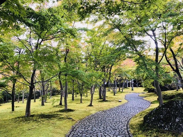 箱根美術館　　へ　　行ってきました～　　☆