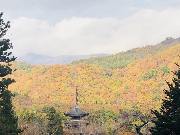 西方寺　さん　　は　　見どころ　　いっぱい　　☆