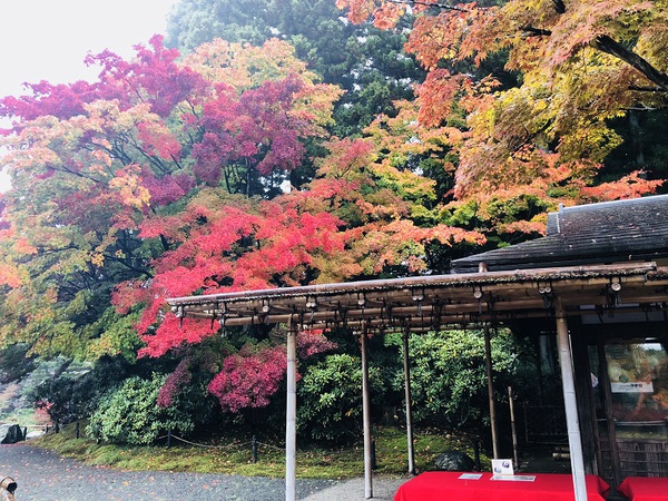 茶屋　　で　　一休み　☆