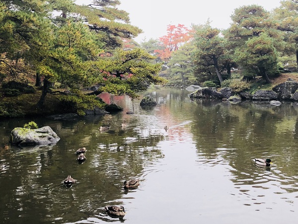 茶屋　　で　　一休み　☆