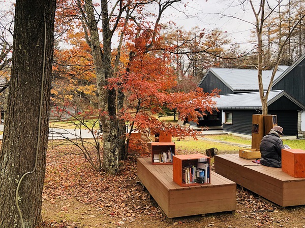 紅葉図書館　　は　　まるで　　絵画のよう　　☆