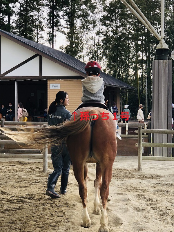 日本平動物園　　で　　遊びました　　　☆