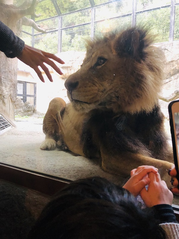 日本平動物園　　で　　遊びました　　　☆