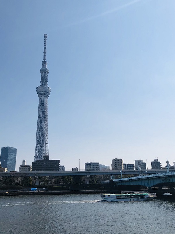 隅田川　　周辺　　を　　テクテク　　☆