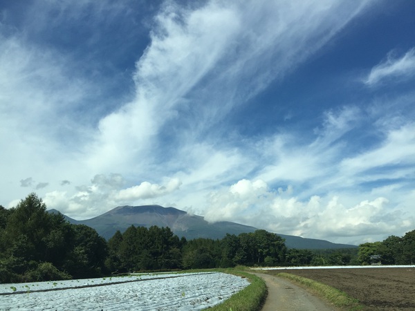 蕎蔵兎月　　さん　　で　　ランチ　　☆