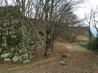 お城めぐり！143城目【津和野城】