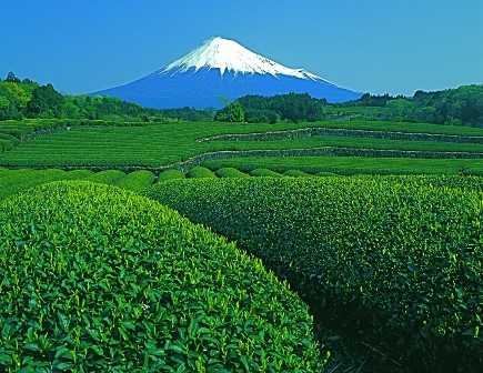 日本の静岡の中の湖西市です。