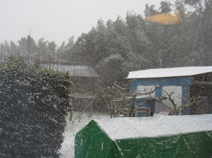 ♪雪～やコンコン！お家はポカポカ♪