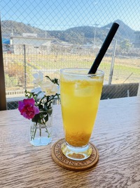 数量限定！完熟シークワサースカッシュ