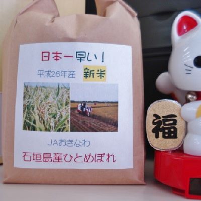 平成２６年石垣島産ひとめぼれ新米♡♡♡入った―！