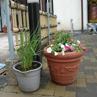 昨夜も。一昨夜も。。 ( ´ρ｀)。o ○。。。（眠）