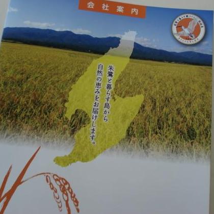 朱鷺の島から黄金餅