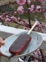 お弁当買って、おやつ買って。。。✿川向しだれ桃✿