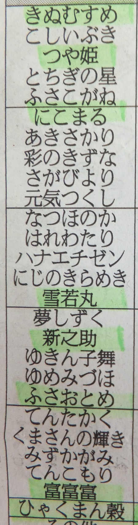夏に強い品種躍進中！