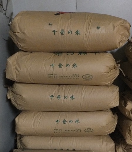 千葉県産ふさおとめ新米！