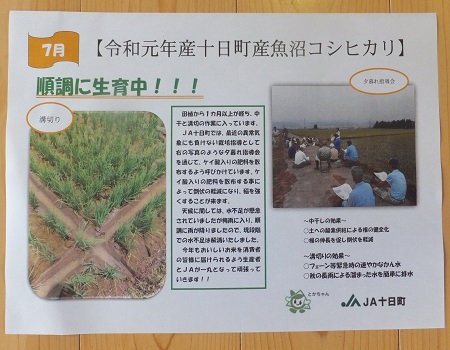 とかちゃんキッズの笑顔が輝く☺７月号