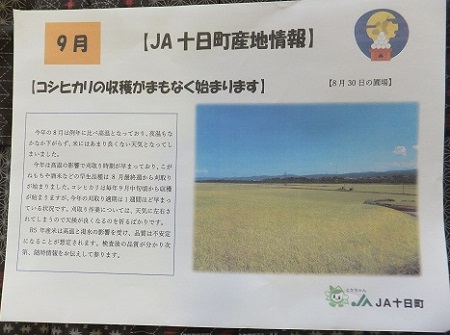 刈り取りスタート！！