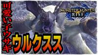 モンスターハンターライズ05