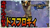 モンスターハンターライズ06