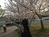 花より・・・？？？