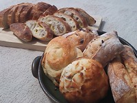 全部フランスパンなのだ