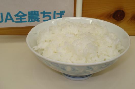 新米※千葉県産ふさおとめ※第一便！！