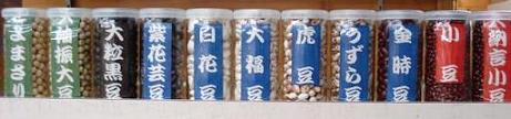 新豆のラインダンス（笑）