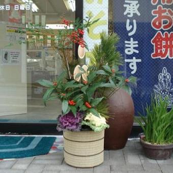 プロ顔負け